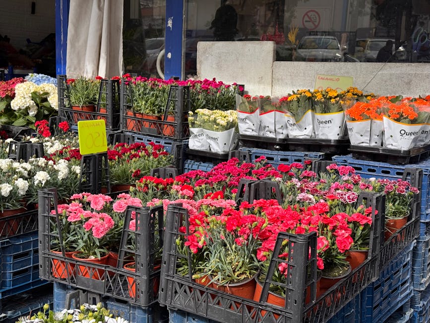 Outdoor display of various flowering plants in orange pots arranged on black plastic crates outside a florist shop. The flowers include pink, red, white, yellow, and orange blooms, with some wrapped i
